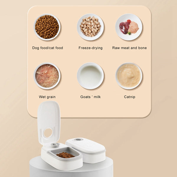 Smart Pet Feeder & Water Dispenser