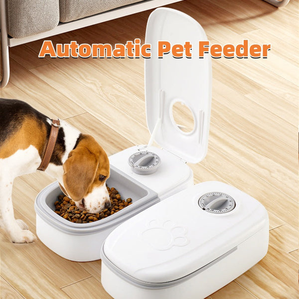 Smart Pet Feeder & Water Dispenser