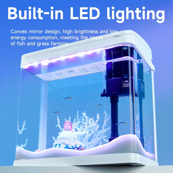 Curved Glass Fish Oasis