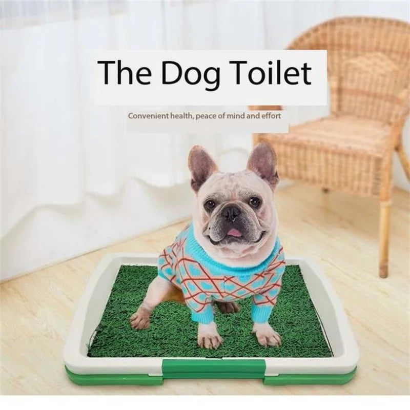 Easy-Pee Doggy Grass Patch