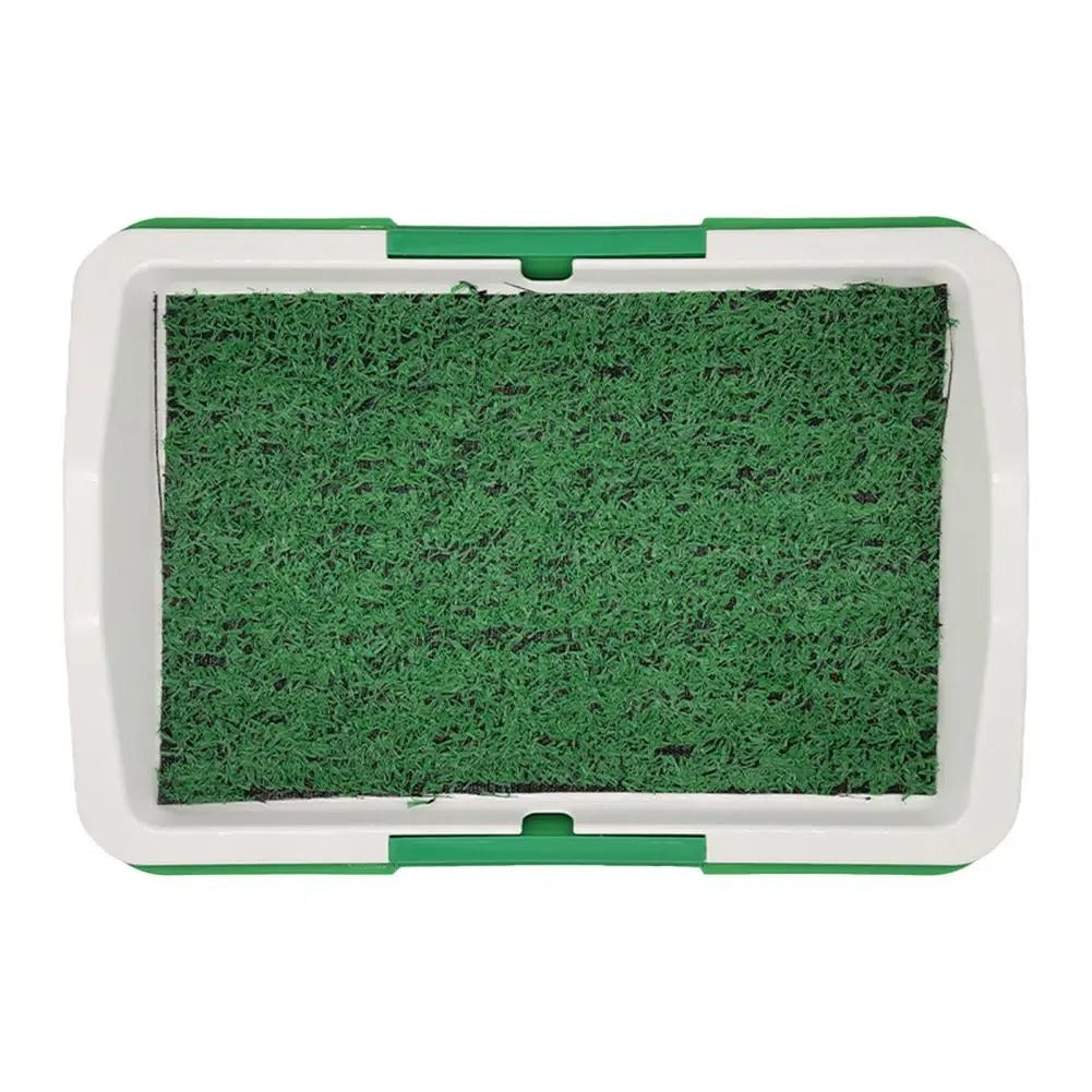 Easy-Pee Doggy Grass Patch