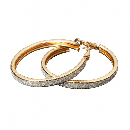 Elegant Frosted Circle Earrings