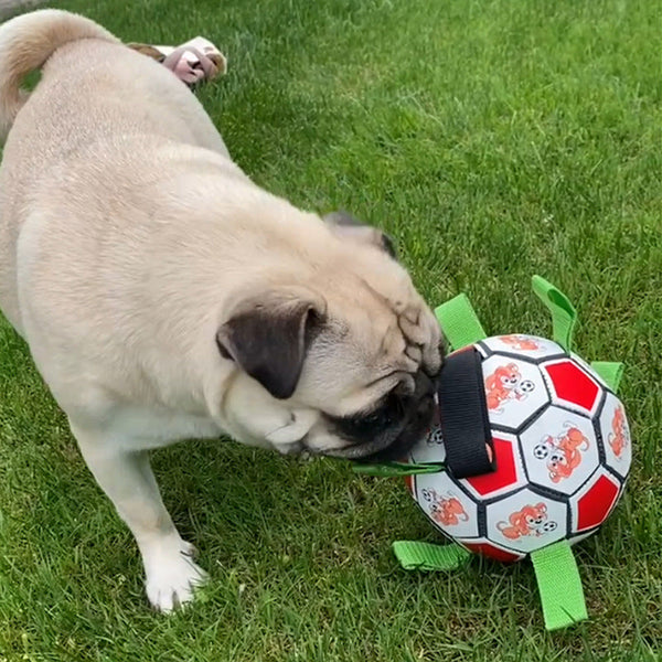Ultimate Dog Play Ball