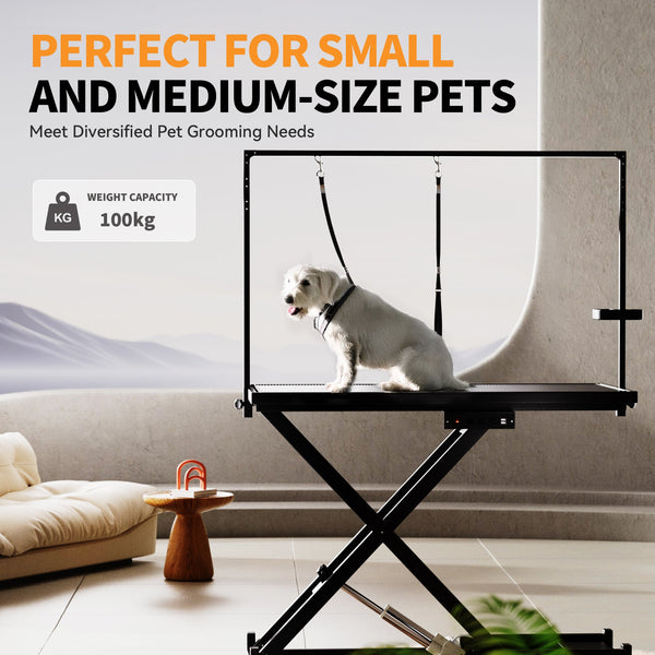 Ultimate Pet Grooming Station