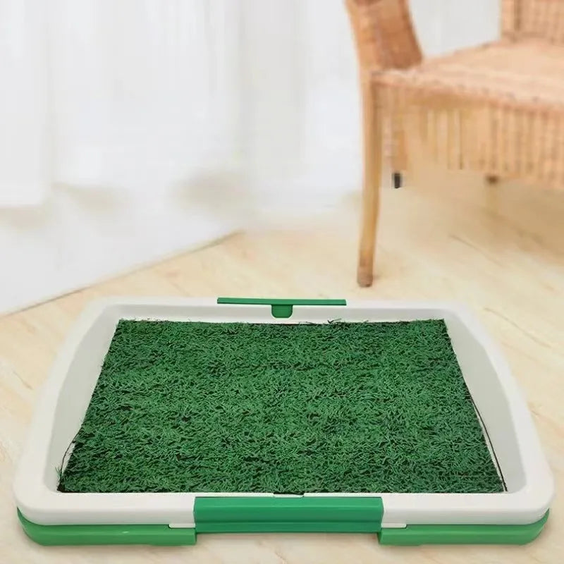 Easy-Pee Doggy Grass Patch