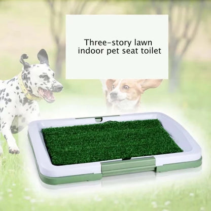 Easy-Pee Doggy Grass Patch