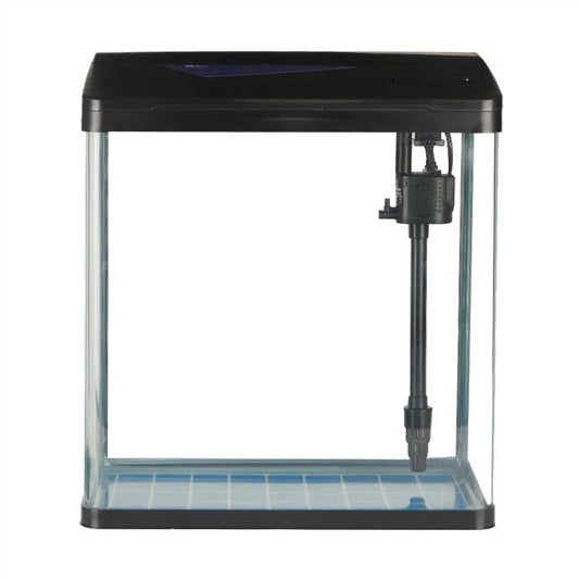 Curved Glass Fish Oasis