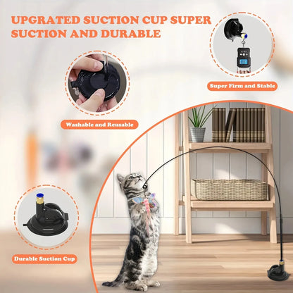 Whisker Wonderland Toy