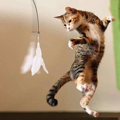 Whisker Wonderland Toy