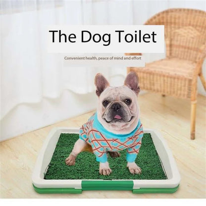 Easy-Pee Doggy Grass Patch