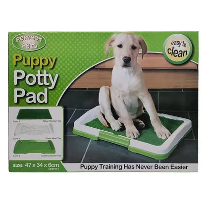 Easy-Pee Doggy Grass Patch